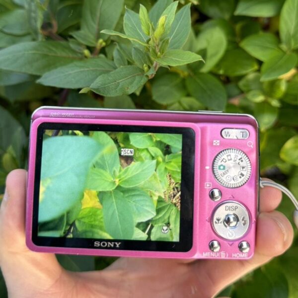 Sony Cybershot DSC W220 12.1 MP Pink - Image 2