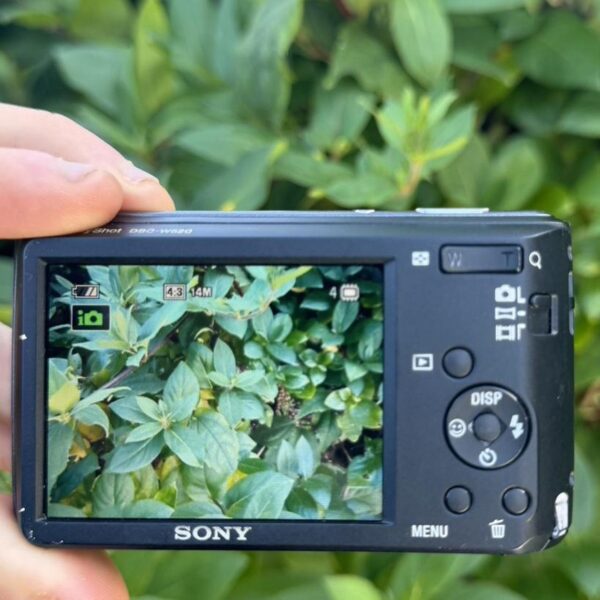 Sony DSC-W520 14.1MP Complete - Image 2