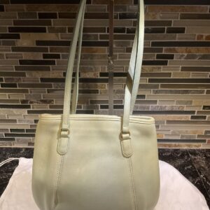 COACH Vintage 9996 Framed Pouch Leather Shoulder Bag Purse Aqua