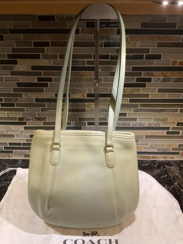COACH Vintage 9996 Framed Pouch Leather Shoulder Bag Purse Aqua