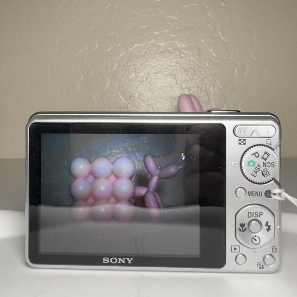 🐻 Sony Cybershot S950 Grey 🐻 - Image 3